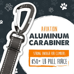 Dog Car Seat Belt | Universal Pet Safety Belt, Created with Human Seatbelt Material. All-Metal Hardware with Adjustable Length Strap. Exceeds Safety Standards. Keep Your Dog Secure (Black)