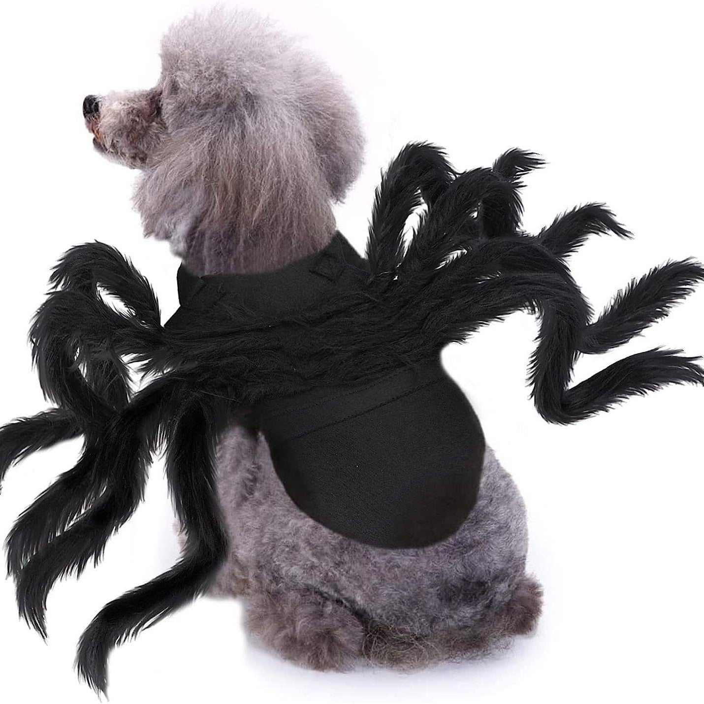 Halloween pet prop bat wings
