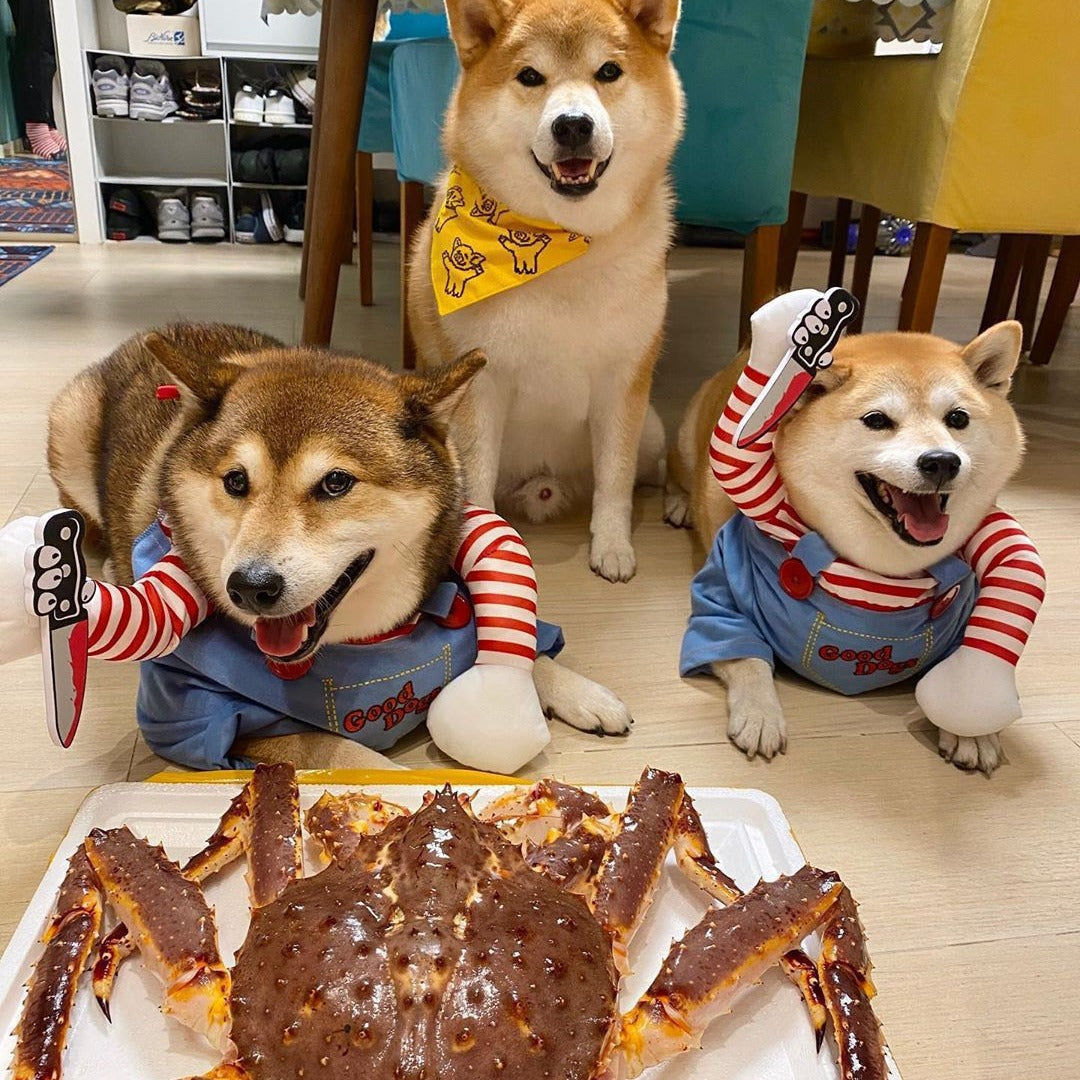 Halloween knife deadly doll small and medium-sized dog funny transformation