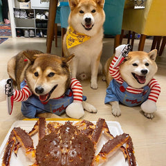 Halloween knife deadly doll small and medium-sized dog funny transformation