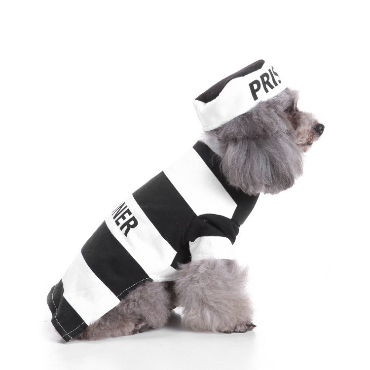 Dog Halloween costume with funny costumes