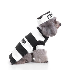 Dog Halloween costume with funny costumes