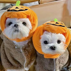 Pet Cat Dog Pumpkin Cat Hat Halloween Ghost Festival Decoration Headwear Supplies