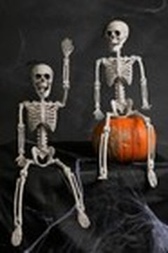 64CM POSEABLE FULL LIFE HUMAN SKELETON HALLOWEEN HAUNTED HOUSE PARTY PROP