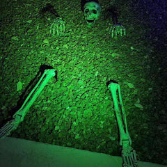 Halloween Skeleton Stakes: Realistic Skull, Head, Hands/Arms – For Party, Home, Garden, Lawn