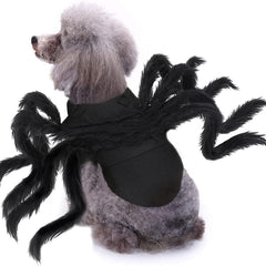 Halloween pet prop bat wings