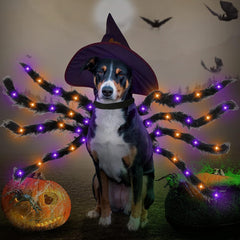 Halloween pet prop bat wings
