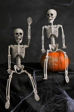 64CM POSEABLE FULL LIFE HUMAN SKELETON HALLOWEEN HAUNTED HOUSE PARTY PROP