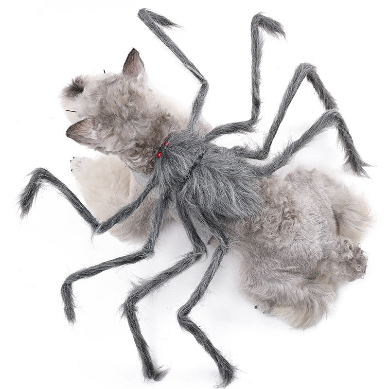 Halloween pet clothes big spider transforms into dog clothes