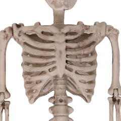 64CM POSEABLE FULL LIFE HUMAN SKELETON HALLOWEEN HAUNTED HOUSE PARTY PROP